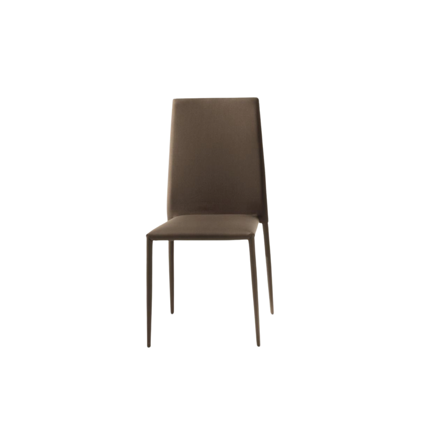 Chaise Malik